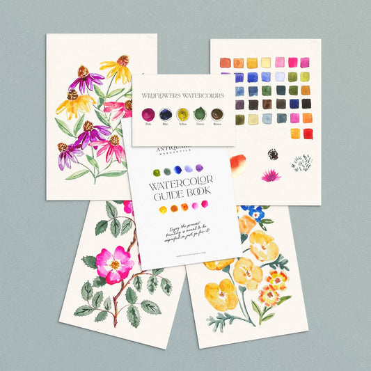 Watercolour Painting Kit : Wildflowers