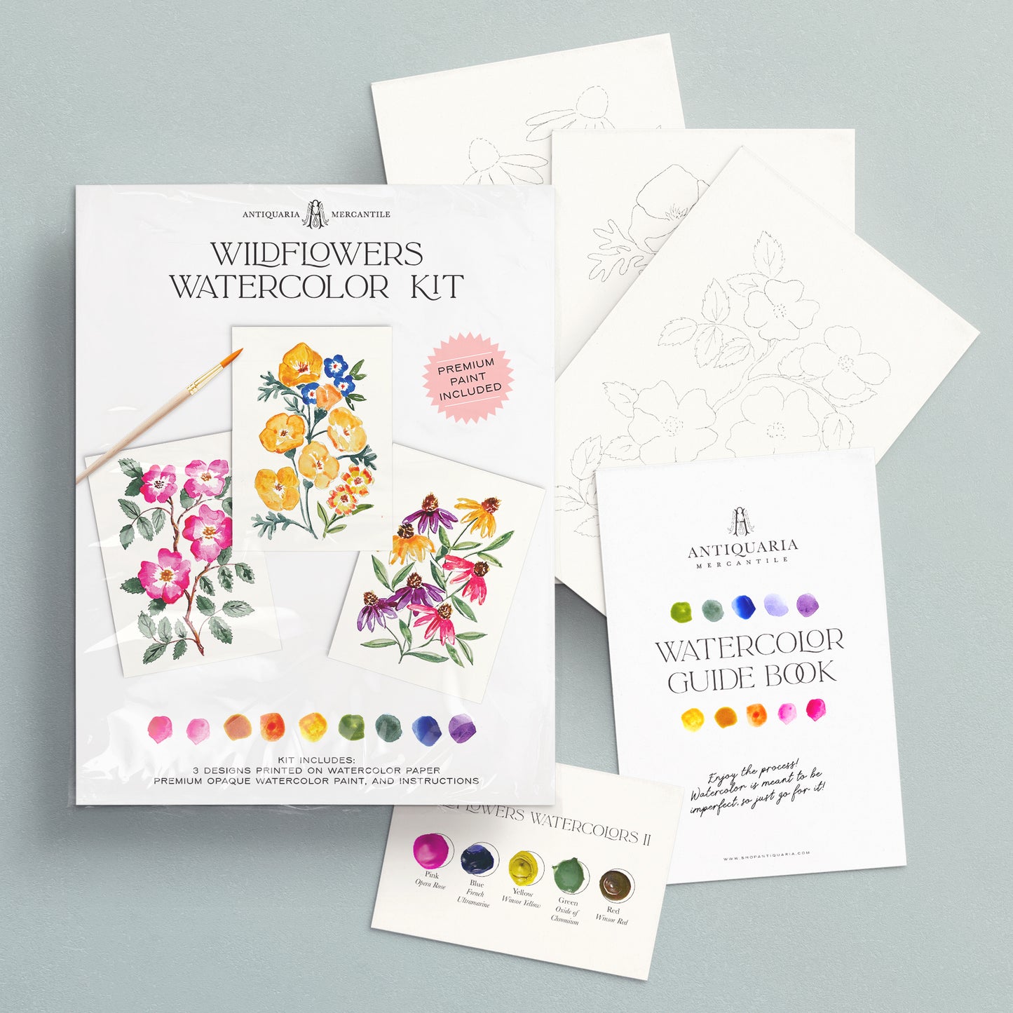 Watercolour Painting Kit : Wildflowers