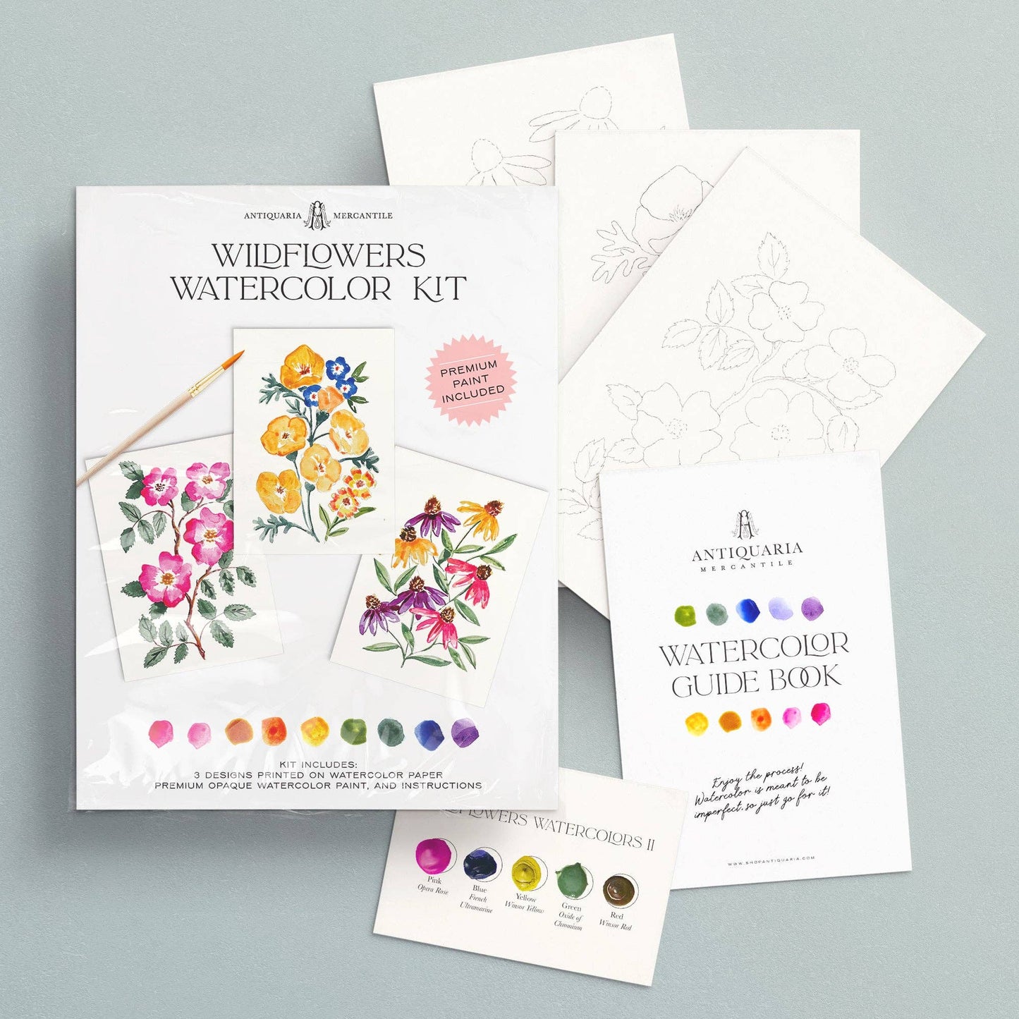 Watercolour Painting Kit : Wildflowers