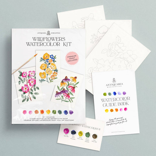 Watercolour Painting Kit : Wildflowers
