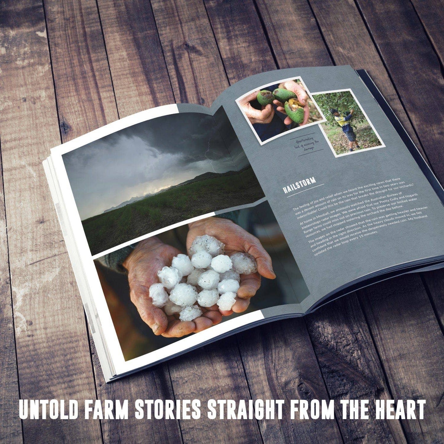 Tweed Real Food: Story and Recipe Book