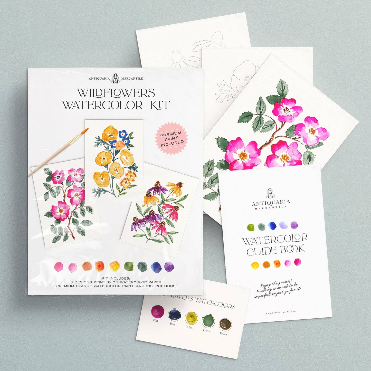 Watercolour Painting Kit : Wildflowers